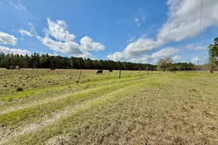 4906 Galloway Rd, Graceville, FL 32440 - Photo 76