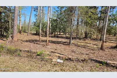 0000 Hwy 389, Lynn Haven, FL 32444 - Photo 2