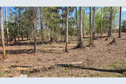 0000 Hwy 389, Lynn Haven, FL 32444 - Photo 4