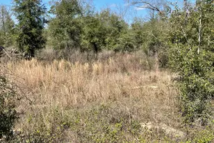 0 Speights Way, Bascom, FL 32423 - Photo 1