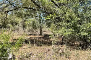 0 Speights Way, Bascom, FL 32423 - Photo 1