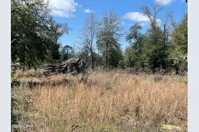0 Speights Way, Bascom, FL 32423 - Photo 6