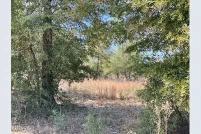 0 Speights Way, Bascom, FL 32423 - Photo 2