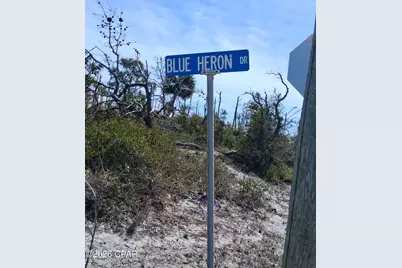 332 Blue Heron Drive, Port Saint Joe, FL 32456 - Photo 2