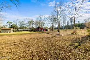 3957 Hwy 2, Graceville, FL 32440 - Photo 8