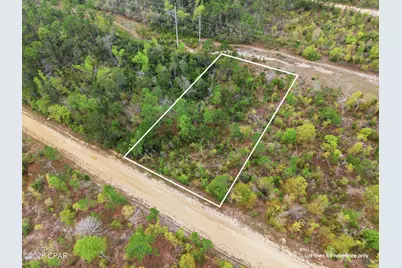 Tbd Channel Drive, Alford, FL 32420 - Photo 1