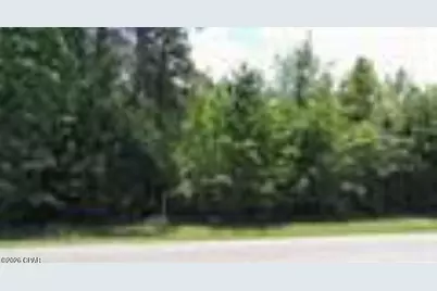 Xxxxx NW County Road 12, Bristol, FL 32321 - Photo 4