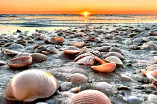 106 S 25th St, Mexico Beach, FL 32456 - Photo 66