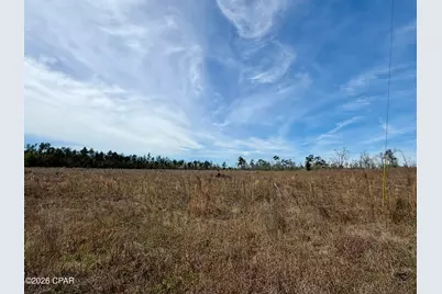 23 Acres Davenport Road, Marianna, FL 32448 - Photo 4