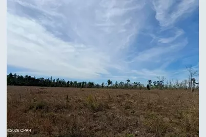 23 Acres Davenport Road, Marianna, FL 32448 - Photo 1