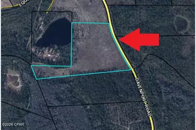 23 Acres Davenport Road, Marianna, FL 32448 - Photo 6