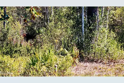 917 Watermark Way, Panama City, FL 32404 - Photo 6