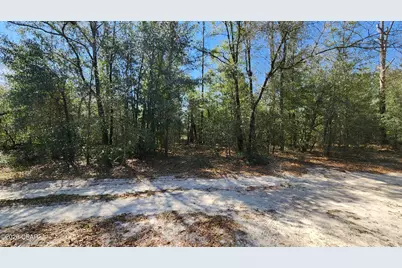 000 Edgewood Road, Fountain, FL 32438 - Photo 2