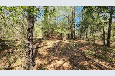 000 Edgewood Road, Fountain, FL 32438 - Photo 4