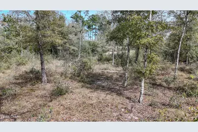 0 Westbrook Drive, Chipley, FL 32428 - Photo 4
