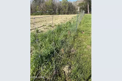 2344 Highway 179A, Westville, FL 32464 - Photo 22