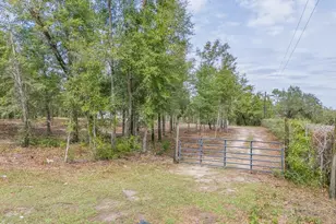 7067 Campflowers Rd, Youngstown, FL 32466 - Photo 4