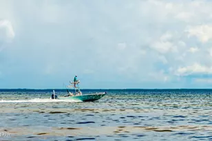 110 Seagrass Cir, Port Saint Joe, FL 32456 - Photo 86