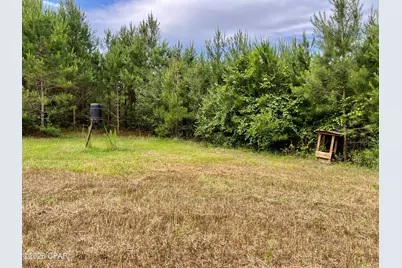 122Ac Hwy 179, Bonifay, FL 32425 - Photo 10