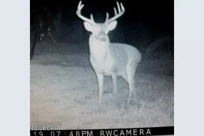 122Ac Hwy 179, Bonifay, FL 32425 - Photo 18