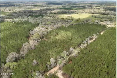 122Ac Hwy 179, Bonifay, FL 32425 - Photo 50