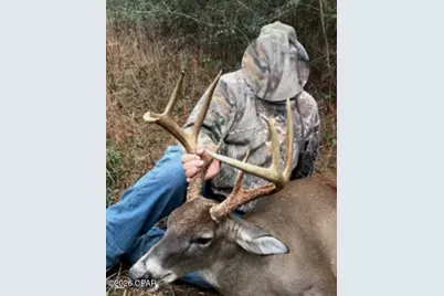 122Ac Hwy 179, Bonifay, FL 32425 - Photo 16