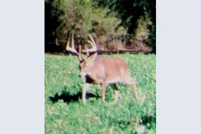 122Ac Hwy 179, Bonifay, FL 32425 - Photo 22