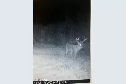 122Ac Hwy 179, Bonifay, FL 32425 - Photo 20