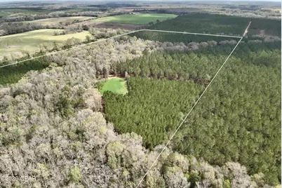 122Ac Hwy 179, Bonifay, FL 32425 - Photo 12