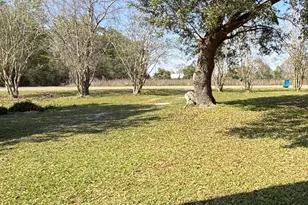 19655 Barfield Rd, Blountstown, FL 32424 - Photo 1