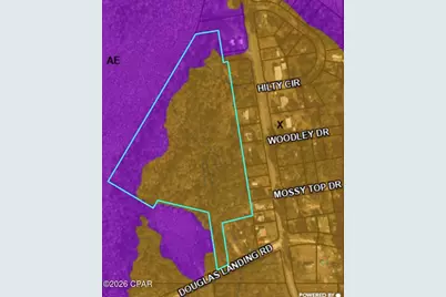 Tbd Douglas Landing Road, Wewahitchka, FL 32465 - Photo 4