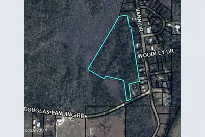 Tbd Douglas Landing Road, Wewahitchka, FL 32465 - Photo 1