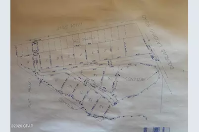 Tbd Douglas Landing Road, Wewahitchka, FL 32465 - Photo 6