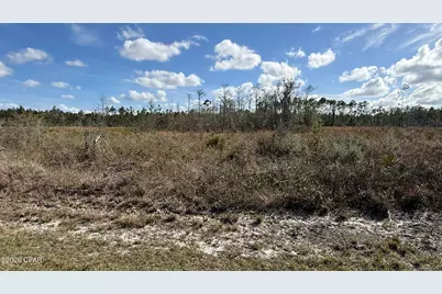 21703 Beech Valley Valley, Altha, FL 32421 - Photo 1