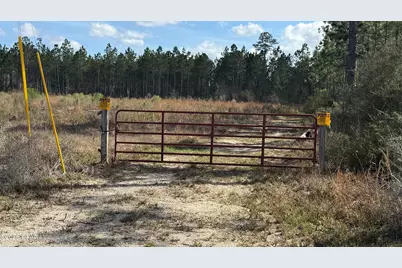 21703 Beech Valley Valley, Altha, FL 32421 - Photo 2