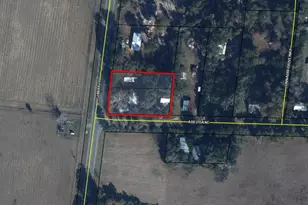 3736 Hwy 71, Marianna, FL 32446 - Photo 4