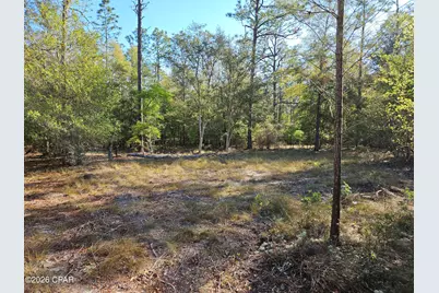 000 Preakness Place, Chipley, FL 32428 - Photo 4