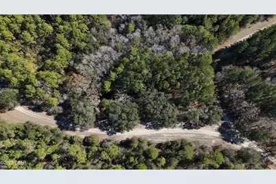 00 Canopy Oak Blvd, Bonifay, FL 32425 - Photo 2