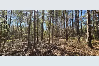 00 Canopy Oak Blvd, Bonifay, FL 32425 - Photo 8