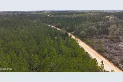 Tract#6418 Mattox Springs Road, Caryville, FL 32427 - Photo 4