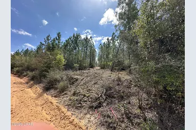 Tract#6418 Mattox Springs Road, Caryville, FL 32427 - Photo 2