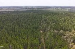 Tract#6418 Mattox Springs Rd, Caryville, FL 32427 - Photo 1