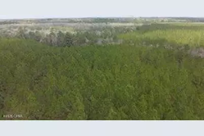 Tract#6418 Mattox Springs Road, Caryville, FL 32427 - Photo 4