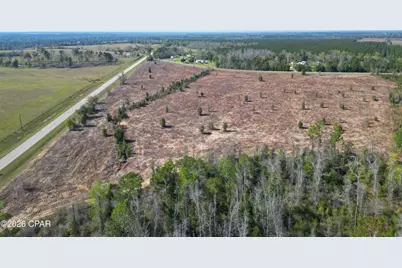 Tbd Lot #1, Carlos Peavy Road, Blountstown, FL 32424 - Photo 2