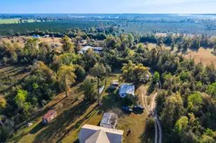 5292 Tiger Ln, Marianna, FL 32448 - Photo 24