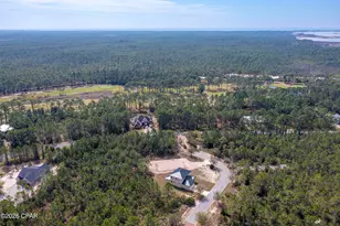 112 Shallow Reed Dr, Port Saint Joe, FL 32456 - Photo 10