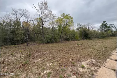 Lot 5 Weller Street, Chipley, FL 32428 - Photo 6