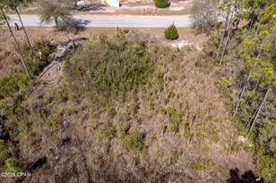 155 Shallow Reed Dr, Port Saint Joe, FL 32456 - Photo 10
