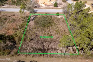 155 Shallow Reed Dr, Port Saint Joe, FL 32456 - Photo 6