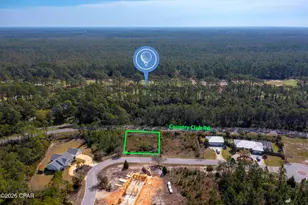 155 Shallow Reed Dr, Port Saint Joe, FL 32456 - Photo 8
